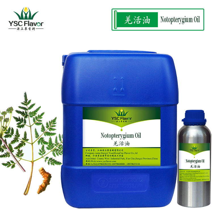 羌活油　羌活油 羌活精油 Notopterygium Oil